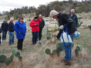 Ian Grenda demonstrating Wheel Cactus injecting technique