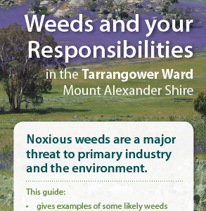 TARRENGOWER
