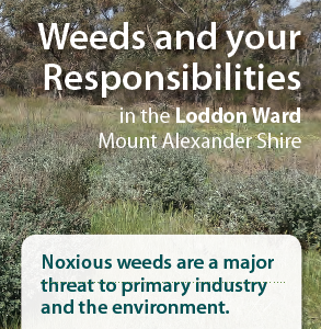 LODDON